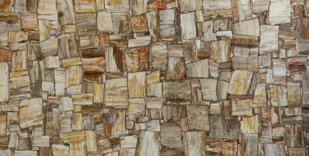 Brown petrified wood retro semi precious stone