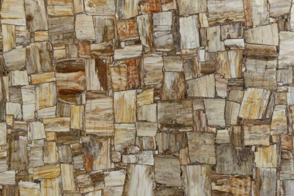 Brown petrified wood retro semi precious stone